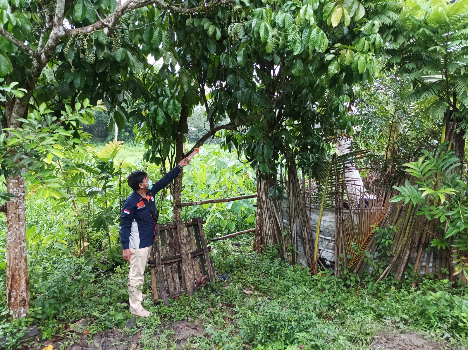 Warga KDI Heboh, Seorang Pria Ditemukan Tewas Tergantung di Pohon Duku Belakang Rumah