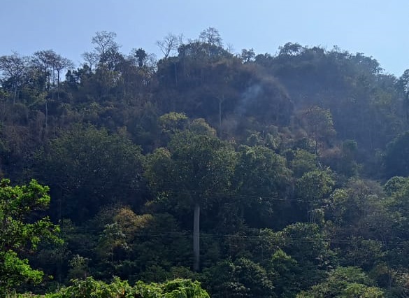 Kebakaran Gunung Jayanti Sukabumi Terkendali Pada Dini Hari, Petugas Masih Lakukan Pemantauan Titik Api  