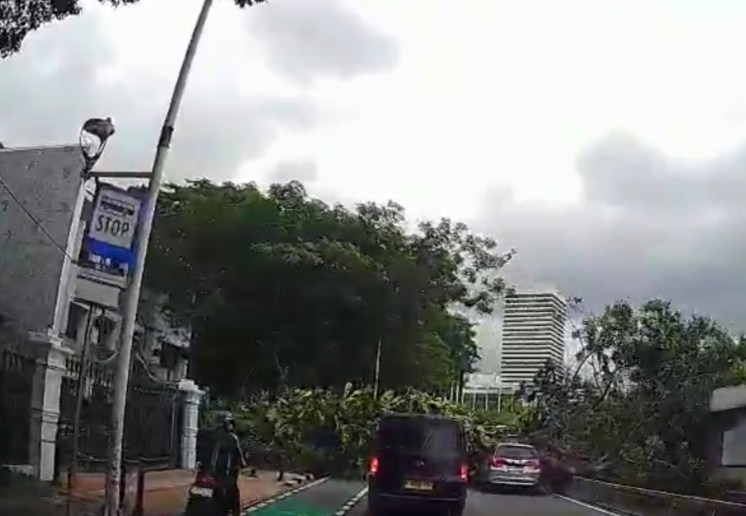 Imbas Pohon Tumbang di Bundaran Senayan, Begini Situasi Terkini