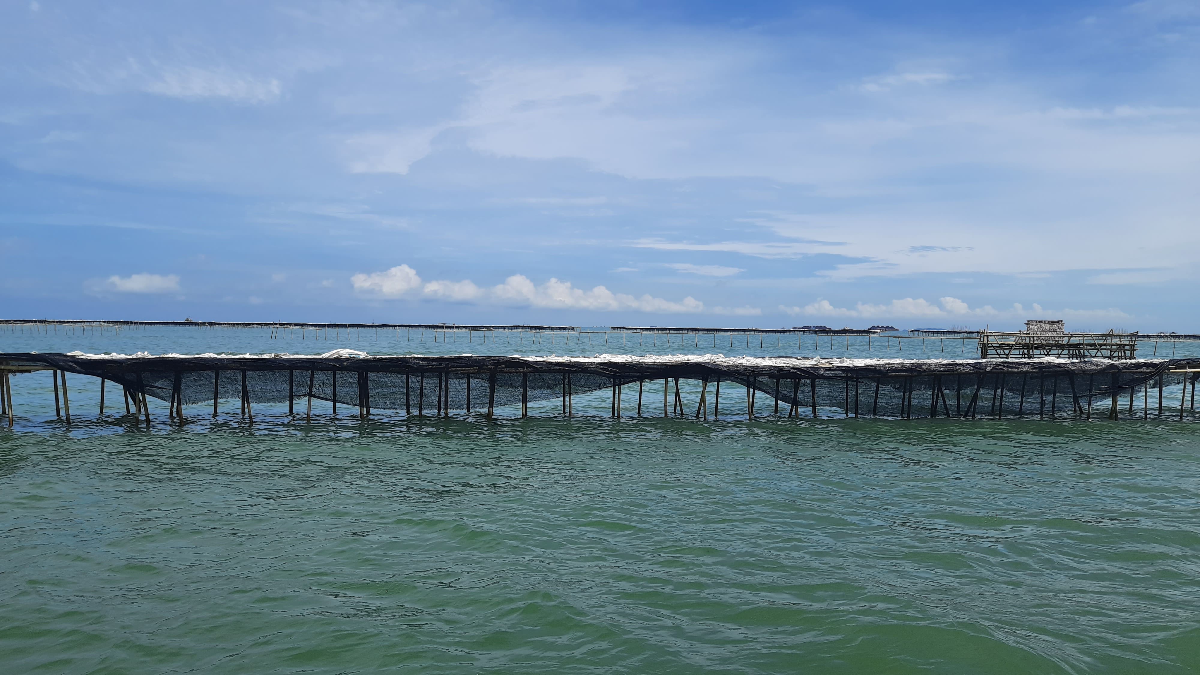 Ombudsman Sebut 3.888 Nelayan Terdampak Pagar Laut Misterius di Pesisir Tangerang