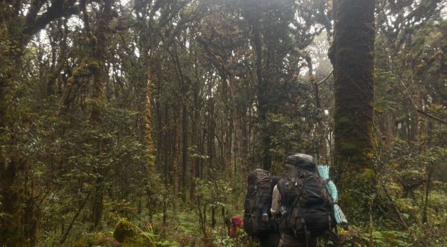 13 Hari Menembus Sunyinya Gunung Patah, Tim Mapala UI Temukan Surga dan Misteri!
