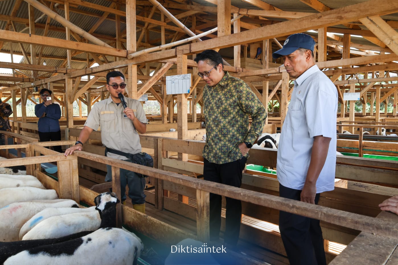 Dukung Usaha Berbasis Riset, Wamendiktisaintek Sambangi Peternakan Domba di Jonggol