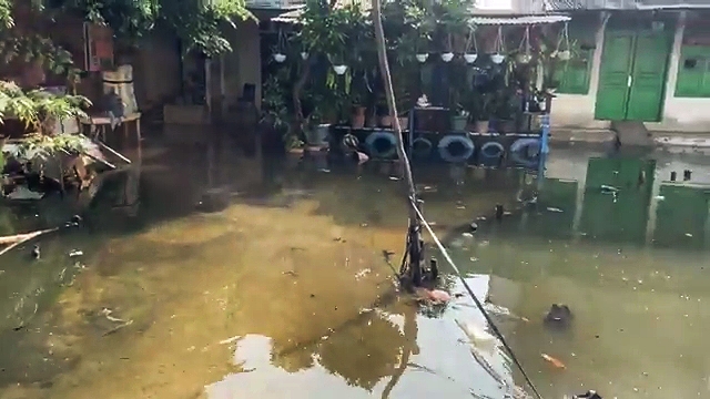 Satu RT di Kelurahan Tegal Alur Masih Terendam Banjir Hari Ini, Dinas SDA akan Lakukan Penyedotan