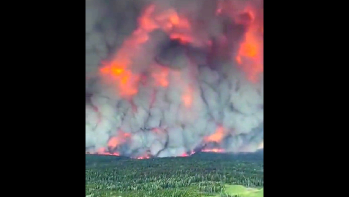 Kebakaran Hutan Kanada Hanguskan Puluhan Ribu Hektar, Kepulan Asap Sampai ke New York