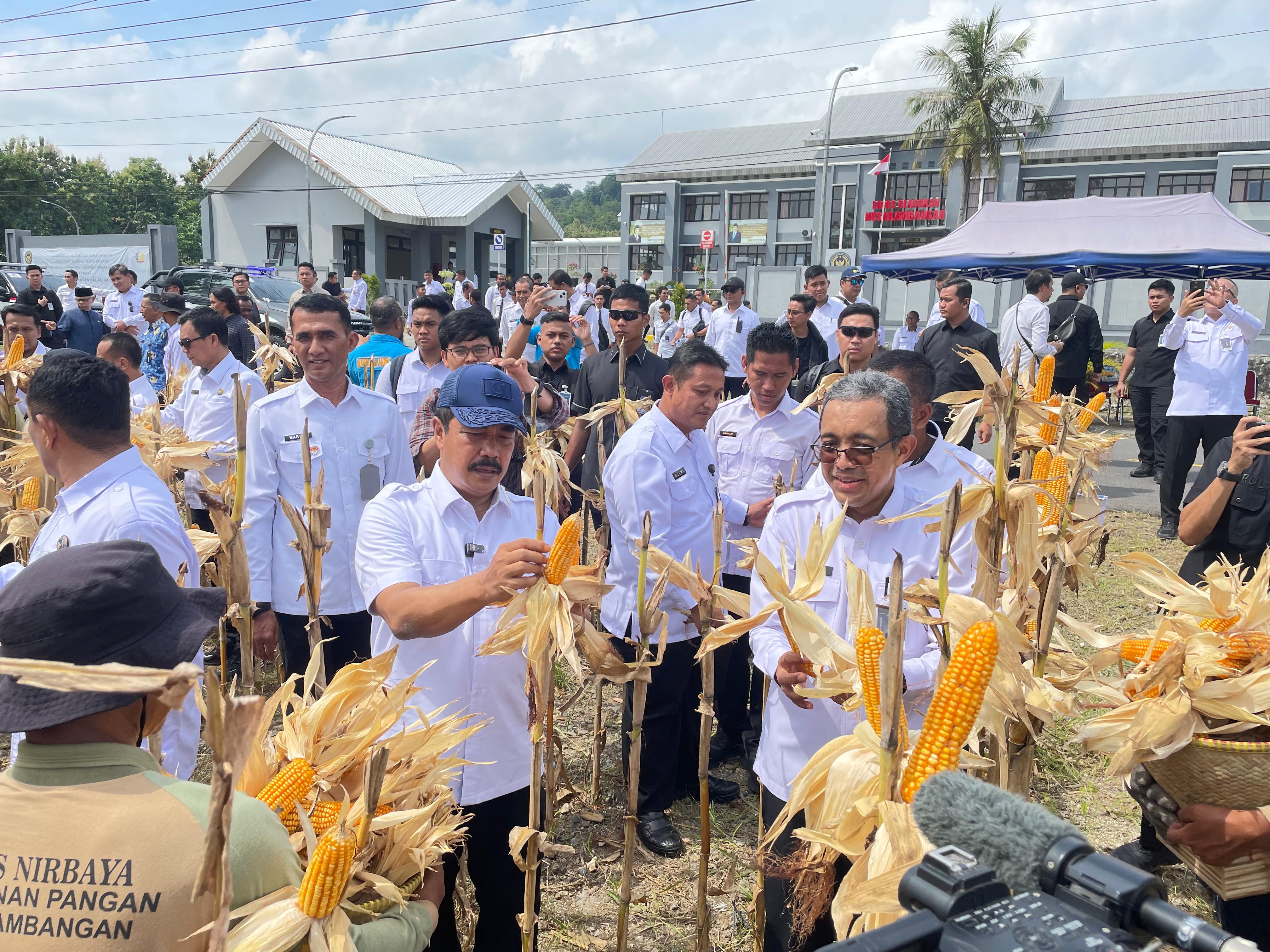 Kemen Imipas Panen Perdana Program Ketahanan Pangan di Kawasan Nusakambangan