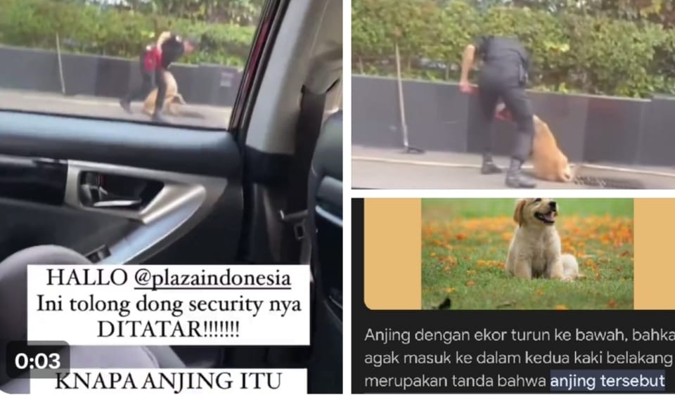 Viral Video Security Plaza Indonesia Tega Pukul Anjing Penjaga, Netizen: Pecat!