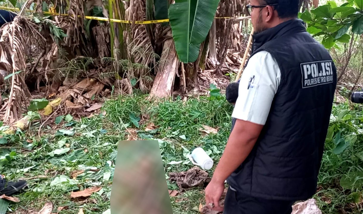 Penemuan Kerangka Manusia Gegerkan Warga Tambun Saat Sedang Mencari Rumput   