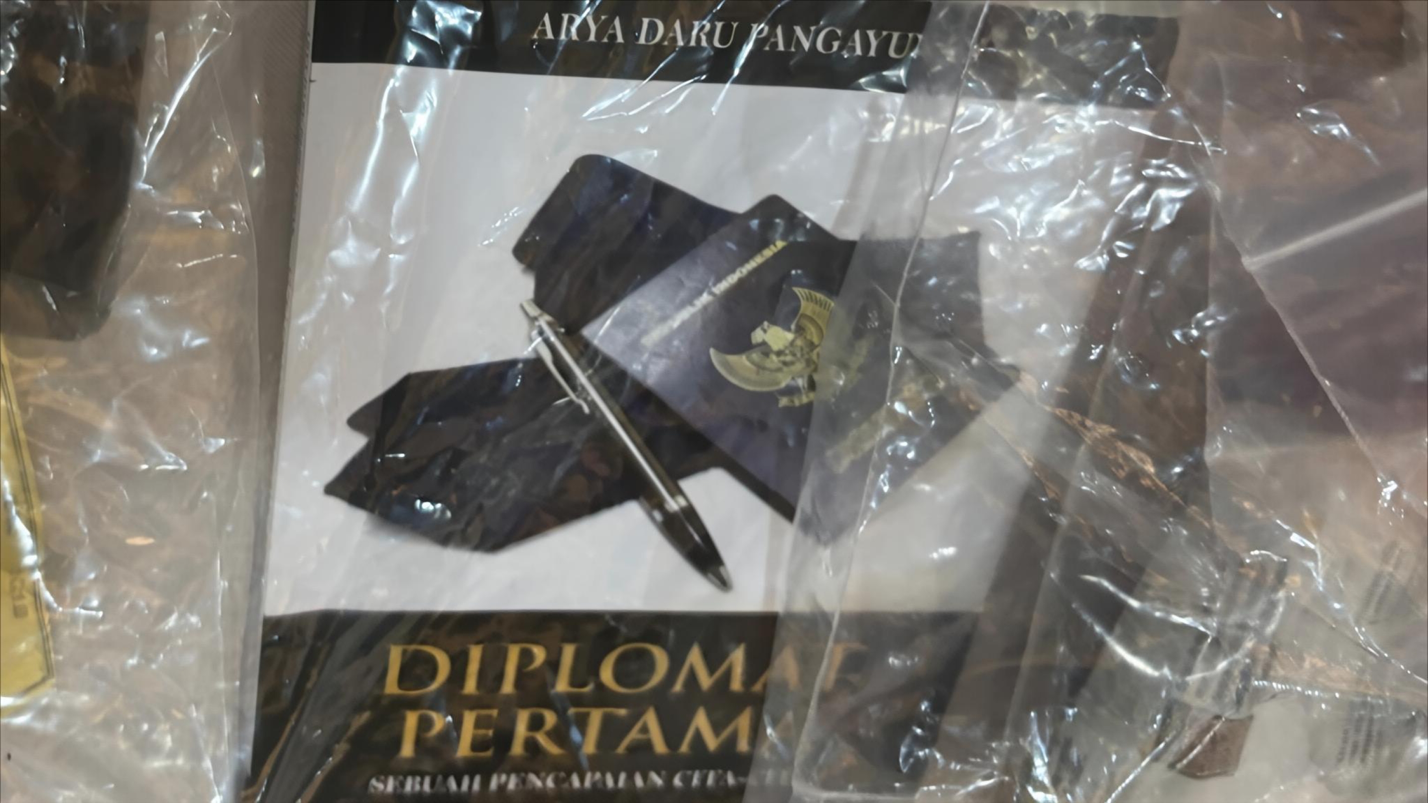 Buku 'Diplomat Pertama', Mahakarya Arya Daru Pangayunan Sebelum Tewas