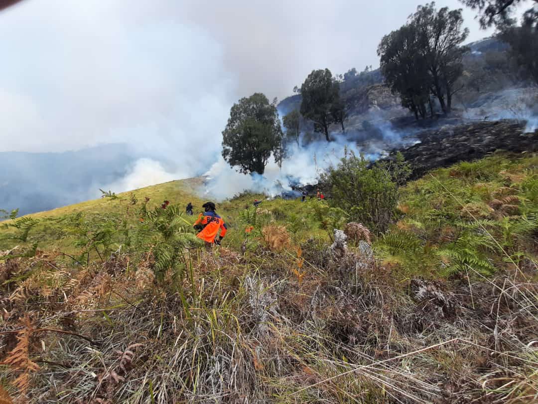 Bukit Teletubies Bromo Terbakar, Sebagian Kawasan Wisata Ditutup