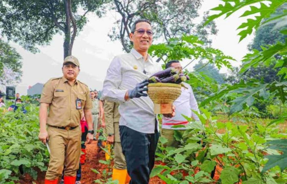 Urban Farming di Jakarta Solusi Stok Pangan, Penurunan Stunting hingga Lapangan Kerja Baru