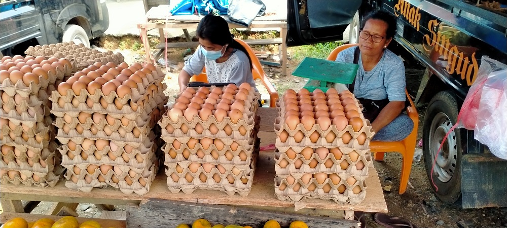 Duh! Harga Telur Ayam Naik Tembus Rp 40 Ribu per Kg