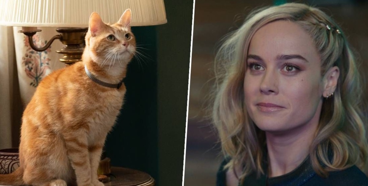Bintang The Marvels Brie Larson Alergi Kucing, Ini Cara Kru Mengakalinya