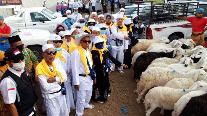 Tunggu Fatwa MUI, Dam Kambing Jamaah Haji Bisa untuk MBG