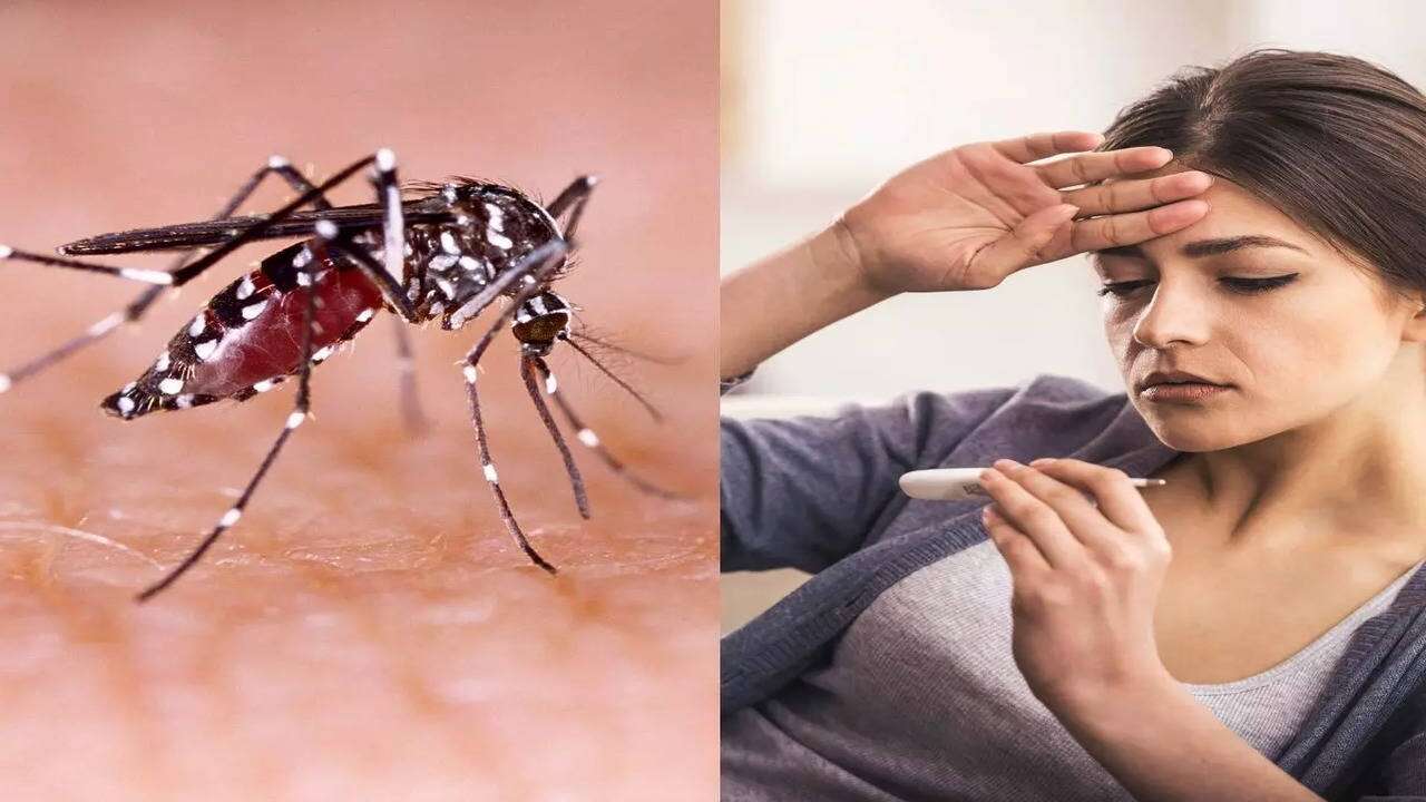 Jangan Remehkan DBD, Hati-Hati bisa Komplikasi Sindrom Syok Dengue