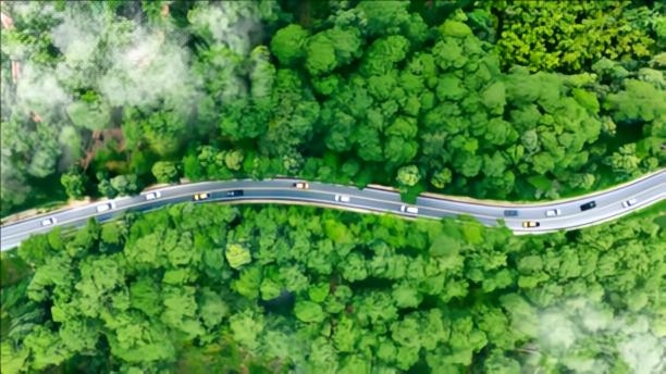 Transportasi Hijau Bukan Sekadar Opsi, Melainkan Keharusan