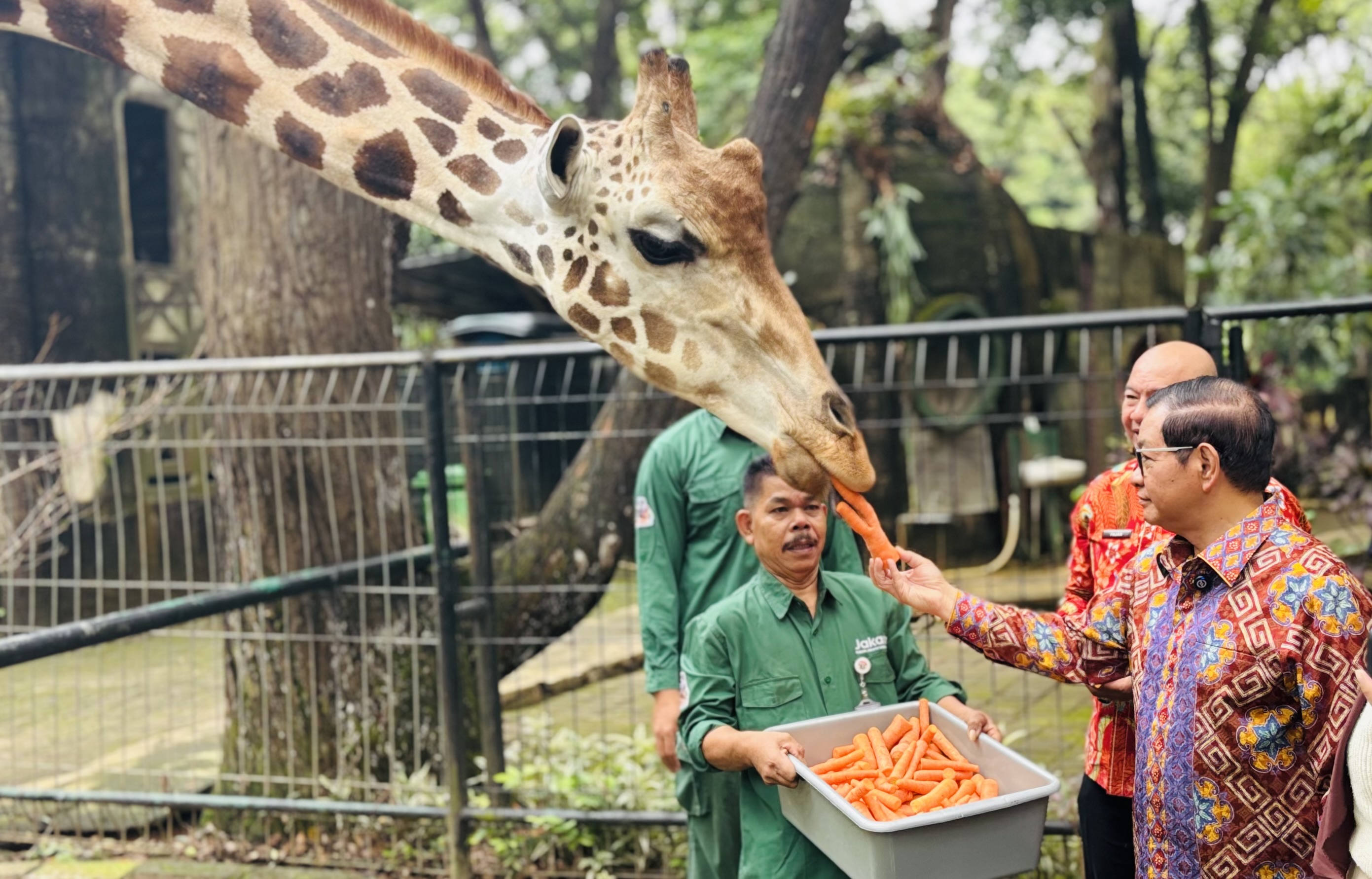 Khusus Warga Non-Jakarta, Tiket Ragunan Segera Naik!