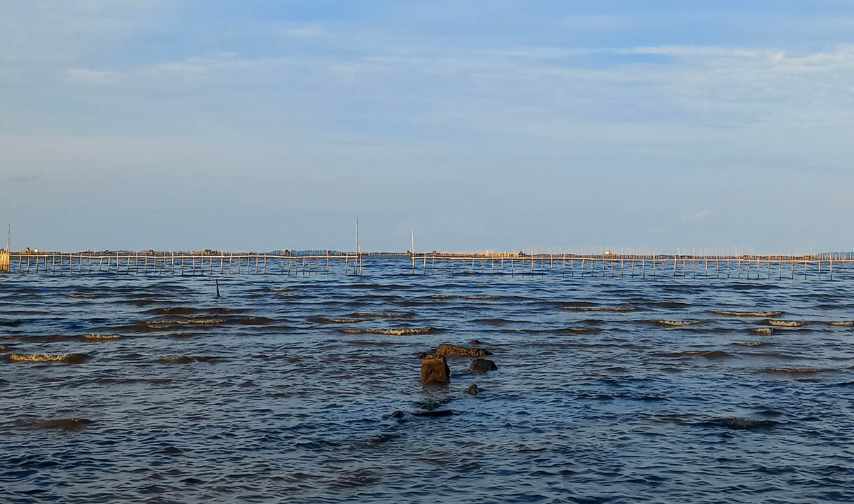 Cara Pemasangan Pagar Laut di Pesisir Tangerang Dibeberkan Nelayan Setempat: Patroli Laut Polisi Juga Gak Kelihatan