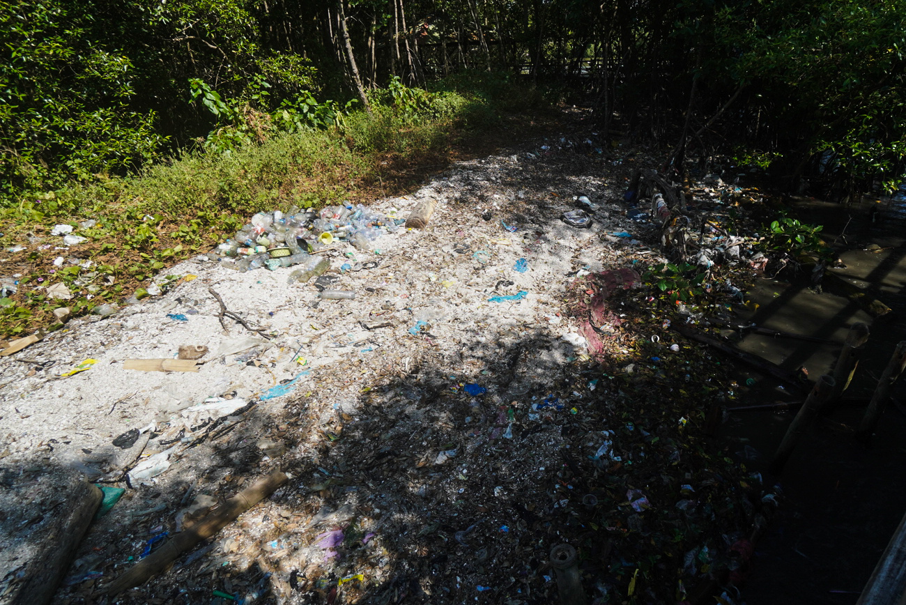 Irjen Karyoto Bawa Pasukan Sapu Bersih Tumpukan Sampah di Hutan Mangrove