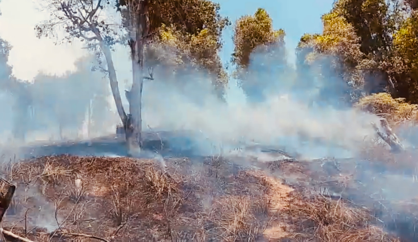 50 Hektare Lahan Belukar Terbakar di Kutai Barat, Api Berhasil Dipadamkan