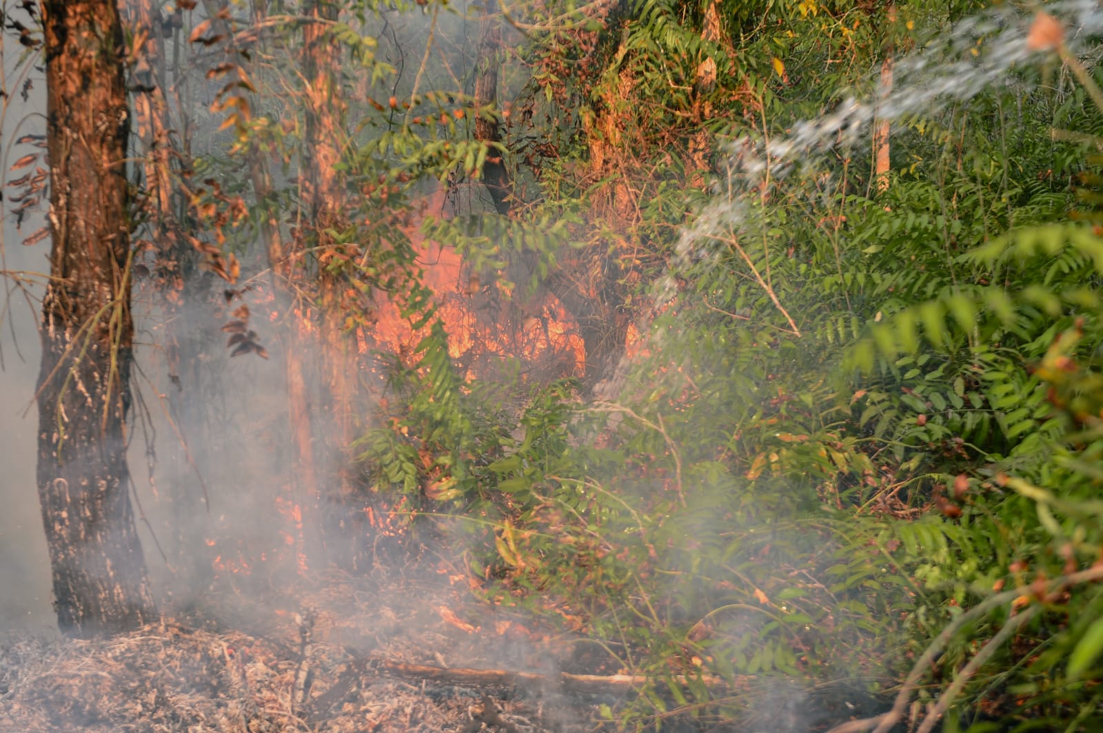 Tidak Hanya Hutan dan Gunung, Lahan Bandara Kertajati Juga Ikut Terbakar