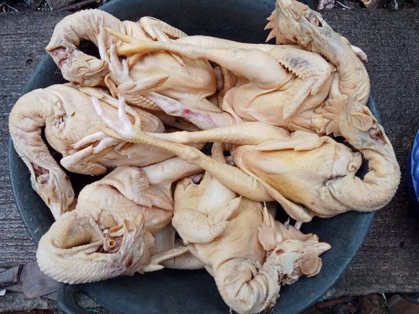 Atlet Binaraga di Malang Konsumsi Ayam Tiren, Ketahui Kandungan Nutrisinya