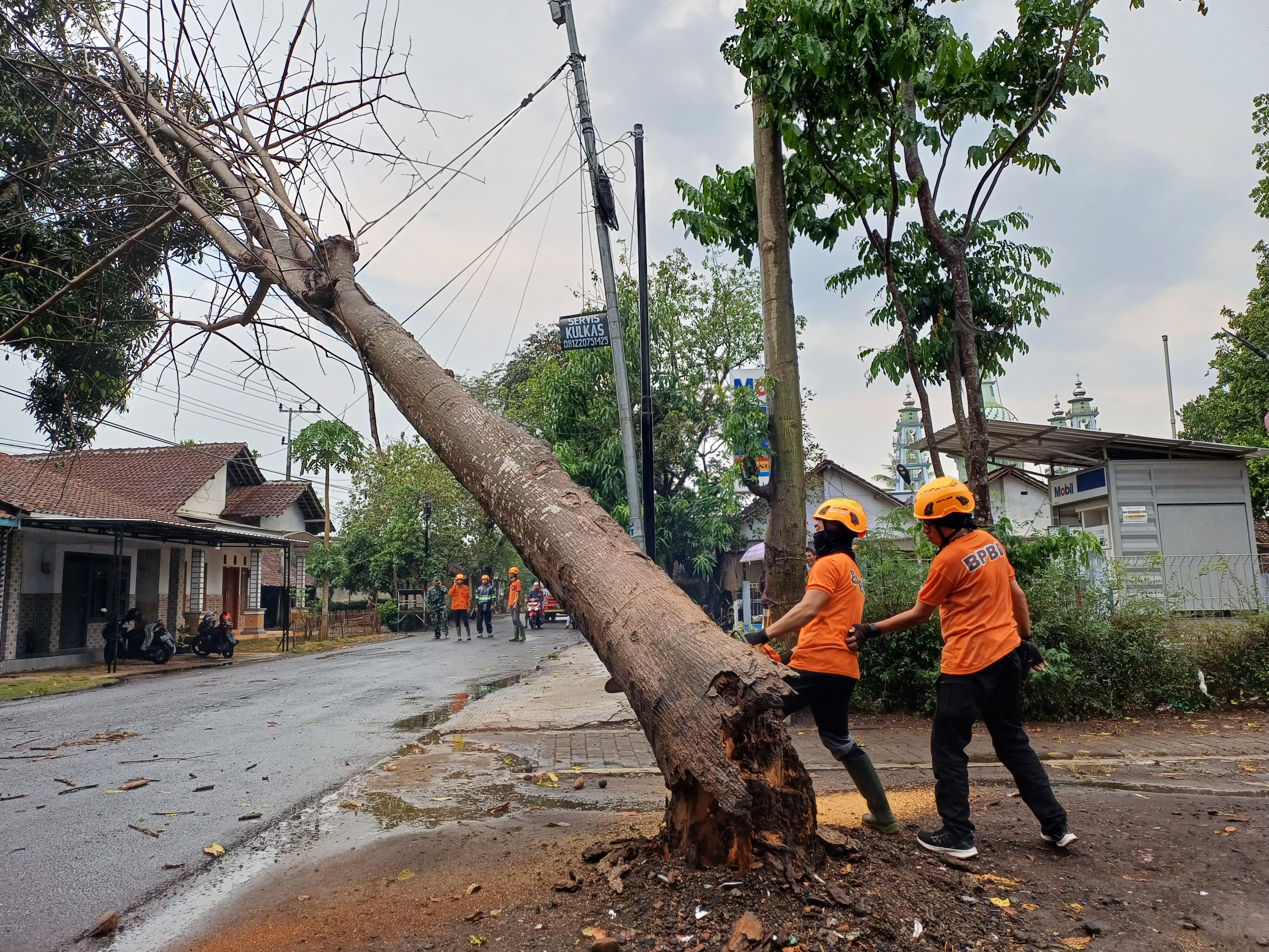 November Sudah Masuk Pancaroba, BMKG: Waspada Bencana Hidrometeorologi Mengintai!