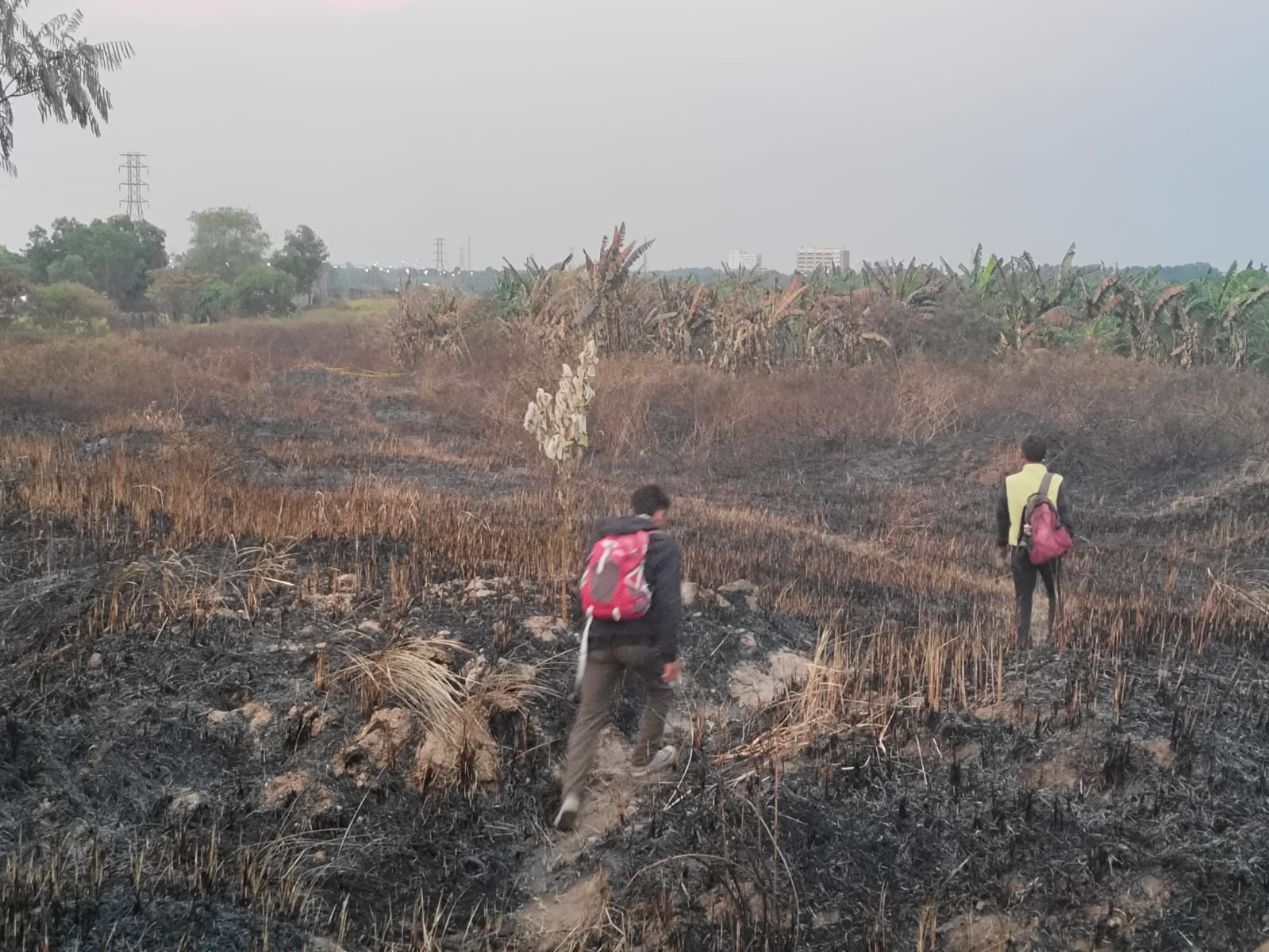 Geger Kerangka Manusia Ditemukan di Lahan Kosong, Ciri-Ciri Teridentifikasi