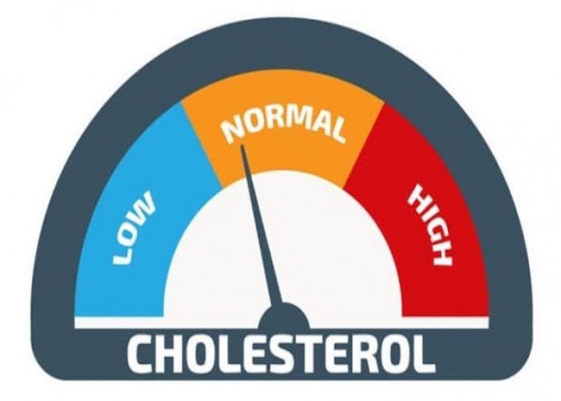 4 Makanan Penghilang Kolesterol untuk Minimalisir Risiko Komplikasi yang Mengancam Jiwa