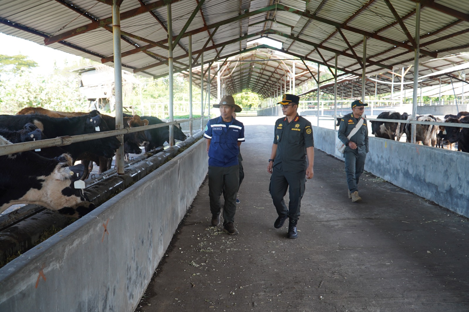 Jatim Masih Butuh 50 Ribu Sapi Perah Untuk Cukupi Kebutuhan Produksi Susu