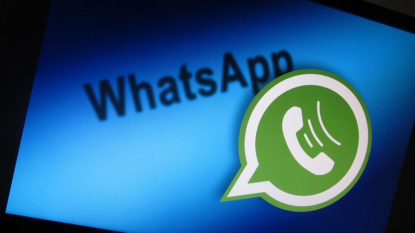 Cara Spam Chat WA dengan Aplikasi dan WhatsApp Web