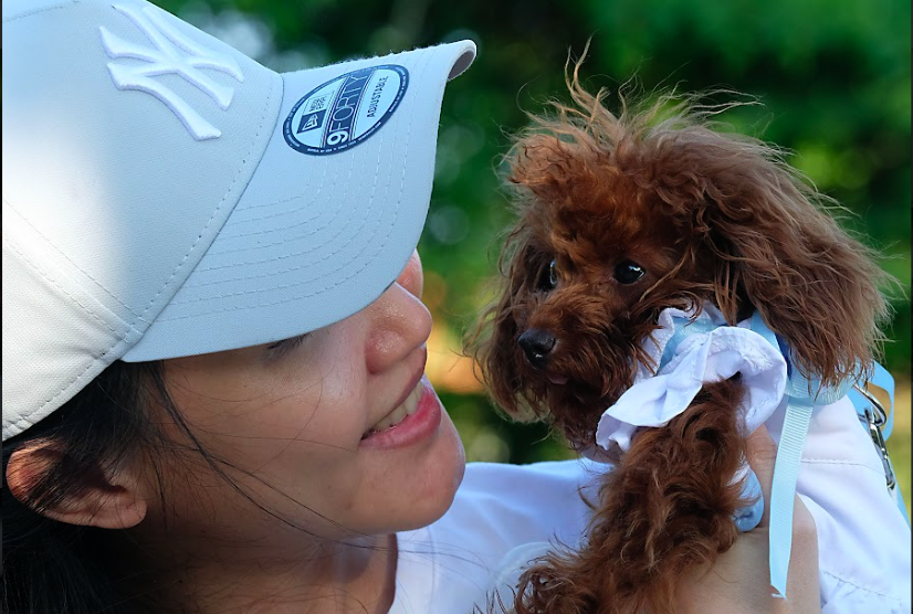 Memaknai Slogan PawaEdu with Dogs: Anjing Bahagia, Keluarga Bahagia