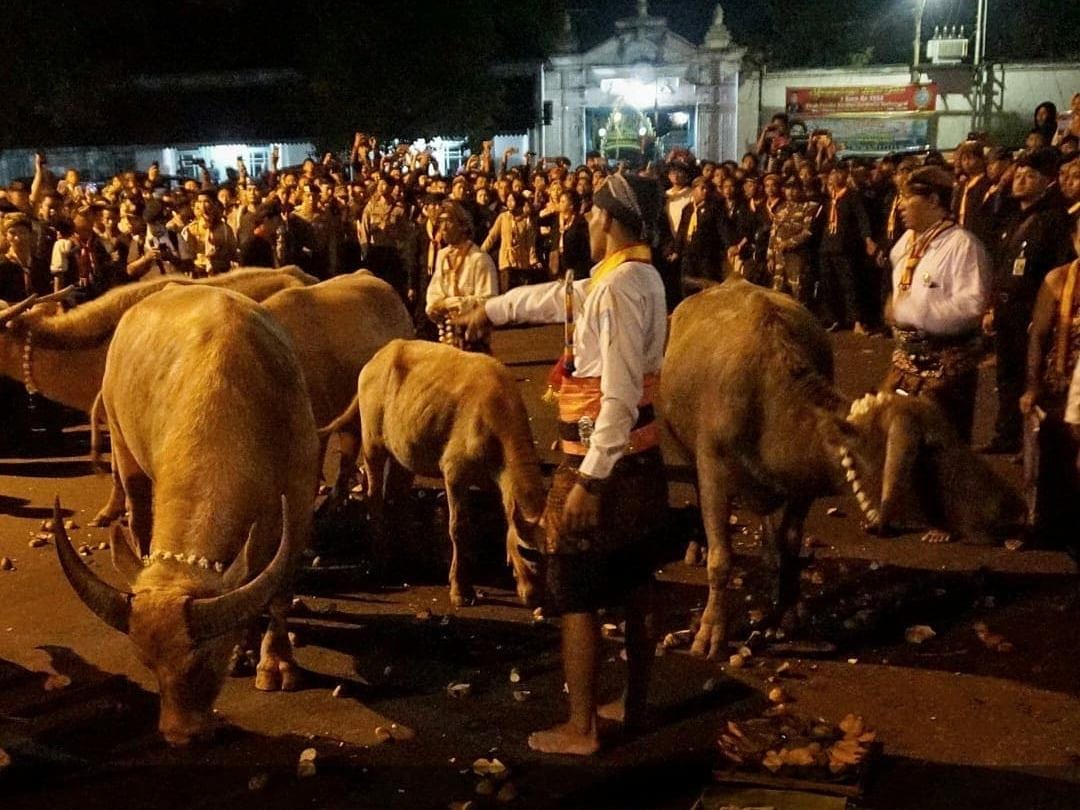 Tradisi Unik 1 Muharram di Berbagai Negara, dari Makan Bubur Sampai Mandi Lumpur  