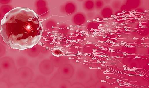 Daftar Negara Legalkan Donor Sperma, Sebotol Rp 14 Juta, Minat?