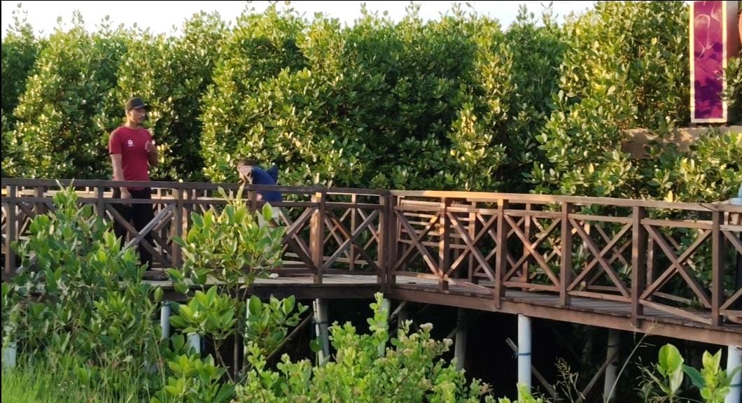 Spot Foto Instagramable, Kunjungan ke Taman Mangrove Mauk Naik 200% Selama Libur Lebaran