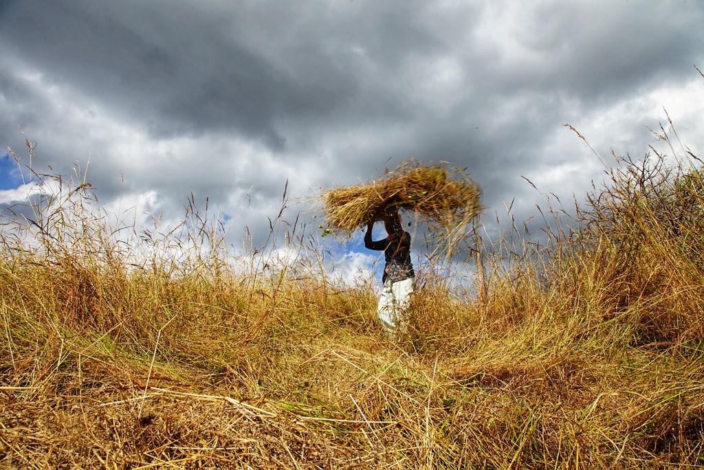 The Language of Climate Change; Is It Easy To Digest? 