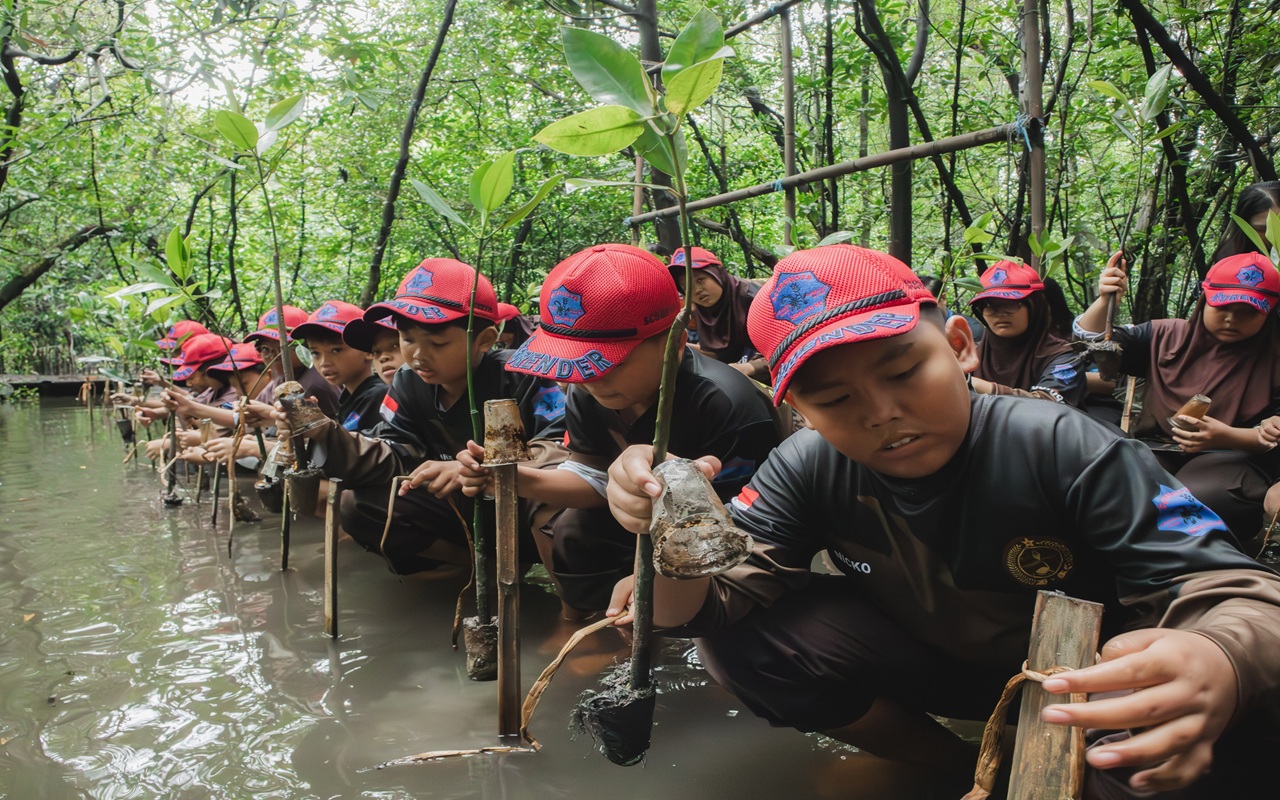 Peduli Lingkungan Sejak Dini, HARRIS Puri Mansion dan Oakwood PIK Gelar Edukasi Mangrove