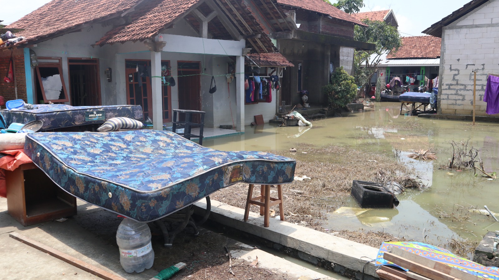 Banjir di  Demak Mulai Surut, BNPB Fokuskan Pemulihan Pasca Banjir