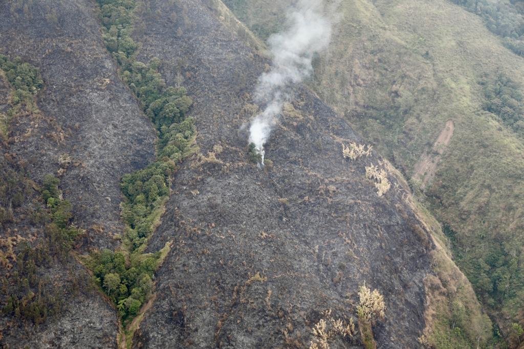 Kebakaran Gunung Arjuno Belum Reda, Kepala BNPB Turun Tangan
