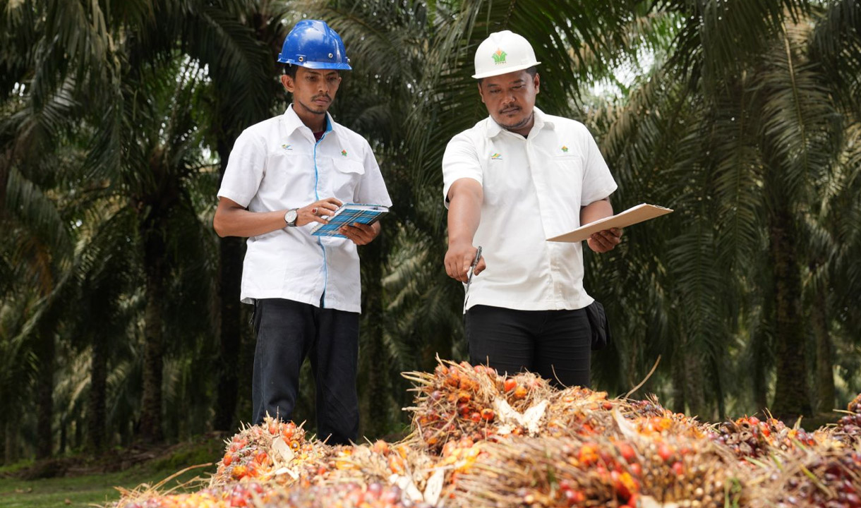 PalmCo Targetkan 5.120 Sertifikasi Kompetensi, Bangun SDM Unggul untuk Perkuat Daya Saing Industri Sawit
