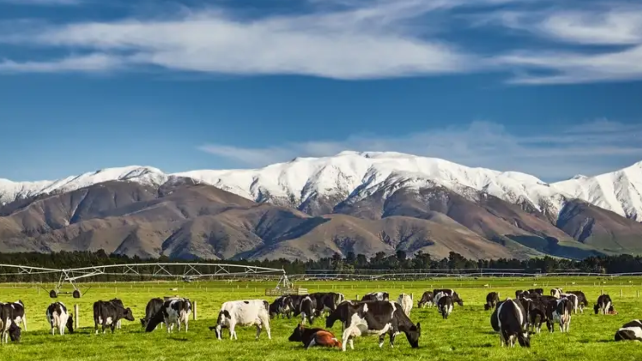 Daftar Negara dengan Puasa 2026 Terlama dan Tercepat di Dunia, Selandia Baru Durasi Mencapai 15 jam