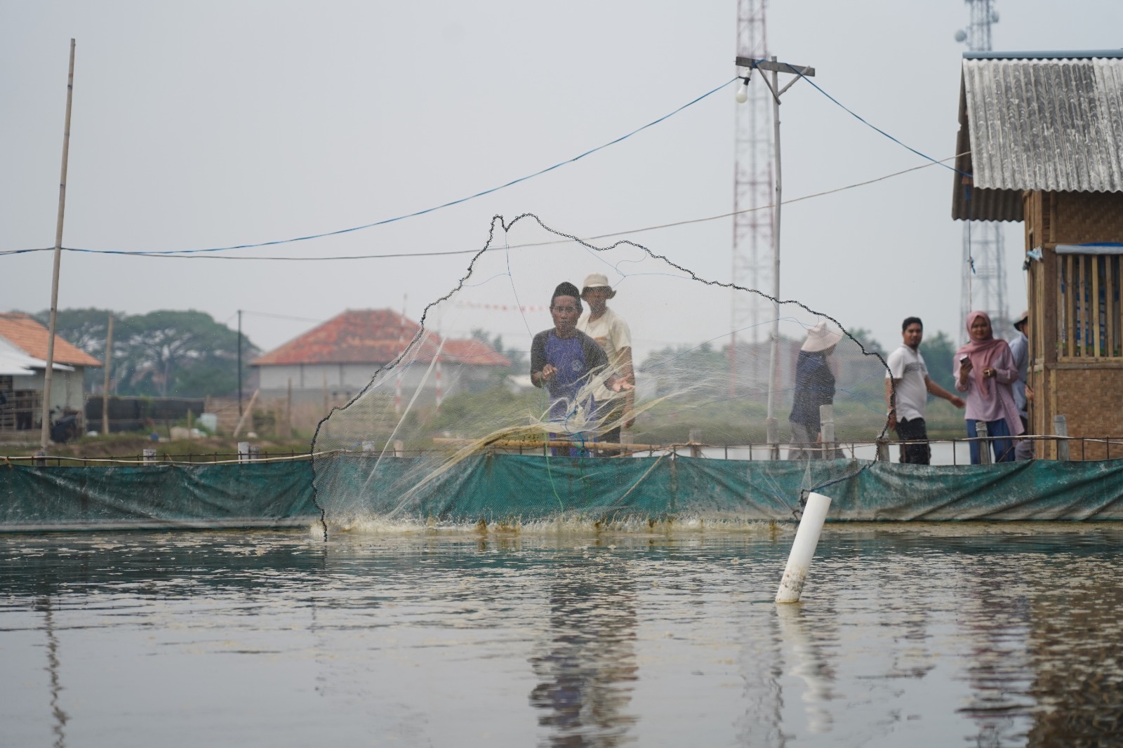 Dompet Dhuafa Gandeng Audy Dental dan ROIS OJK, Bangun Tambak Udang Vaname untuk Kemandirian Ekonomi Umat