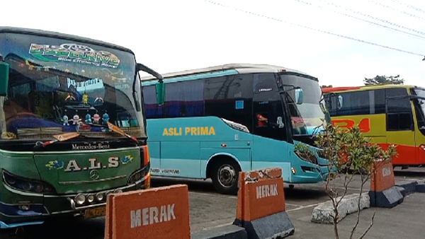 Tarif Baru Bus Pulau Jawa Naik Hingga Rp 30 Ribu, Tutupi Biaya BBM dan Spareparts