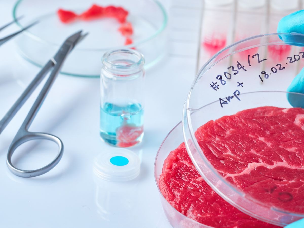 Perjalanan Lab Grown Meat dan Target Harga Rp 120 Ribu Per Kilogram 