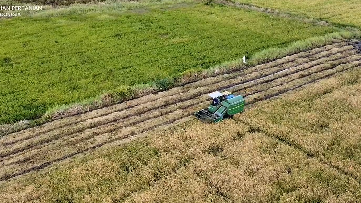 El Nino Godzilla di Depan Mata, Mentan: Tidak Separah Tahun 2015
