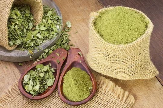 7 Manfaat Daun Kelor, Superfood Alami yang Tingkatkan Kesehatan Tubuh dan Cegah Penyakit