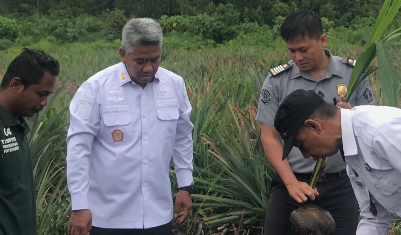Kantor Imigrasi Entikong Ikut Tanam Pohon Kelapa Serentak Dukung Ketahanan Pangan Nasional
