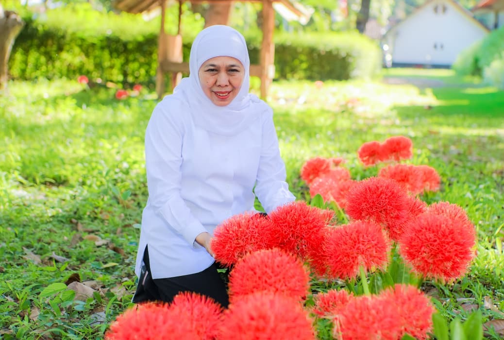 Bunga Desember Mekar di Bondowoso, Flora Langka yang Memikat Gubernur Khofifah
