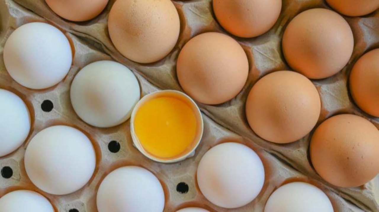 Perbandingan Kalori dan Kandungan Gizi Telur Bebek dan Telur Ayam Kampung