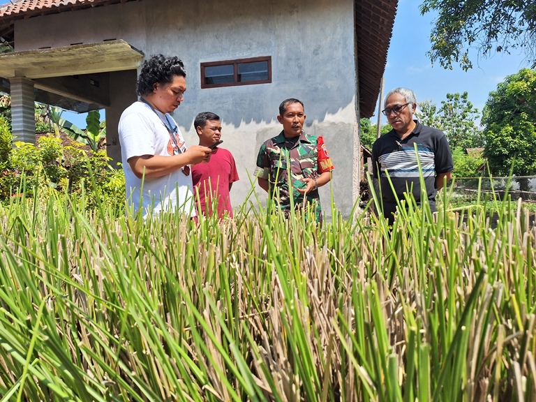 Penjurian Lapangan Brawijaya Award (14): Dipungkasi dengan Rumput Vetiver dan Rapling