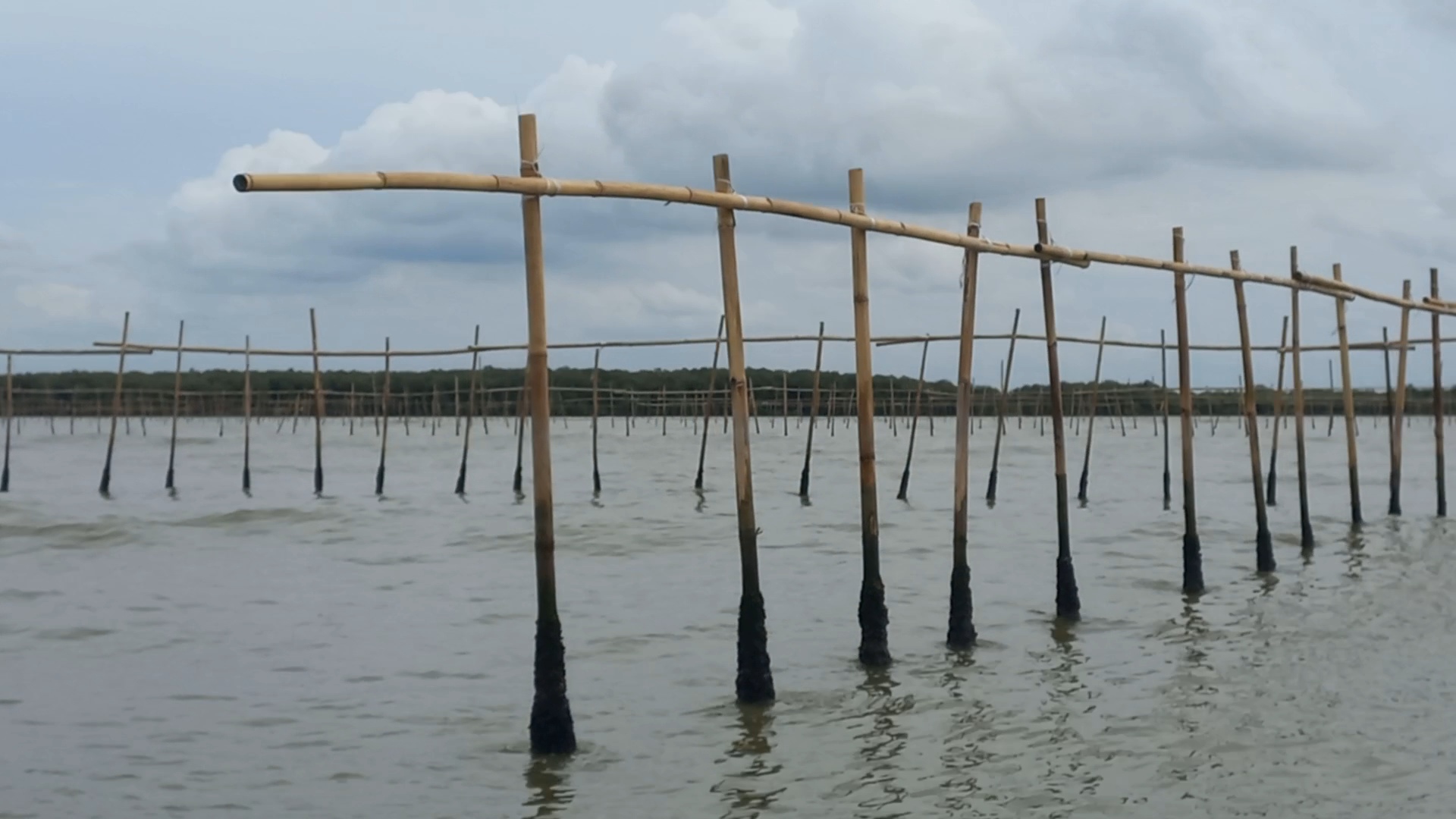 Kesaksian Nelayan Soal Pemasangan Pagar Laut Misterius di Pesisir Tangerang: Mereka Pakai 3 Perahu Kecil